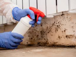 Trusted Mcclure, PA Mold Inspection Experts